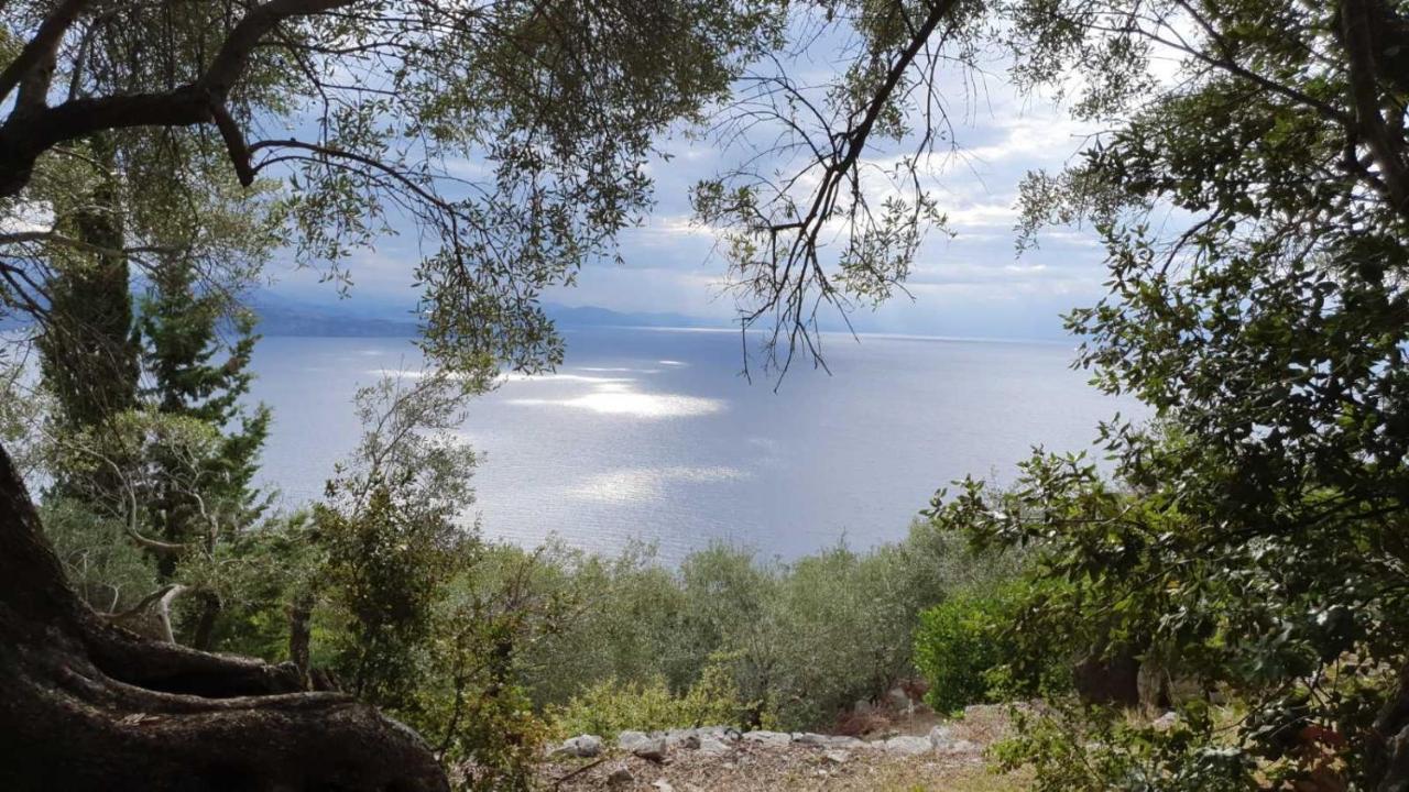 Rizes Sea View Villa Niszáki Kültér fotó